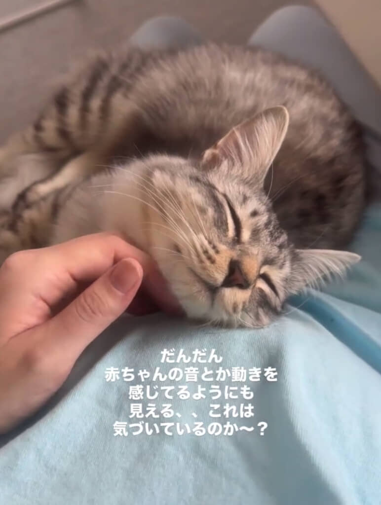 あご下をなでてもらい、気持ちよさそうです