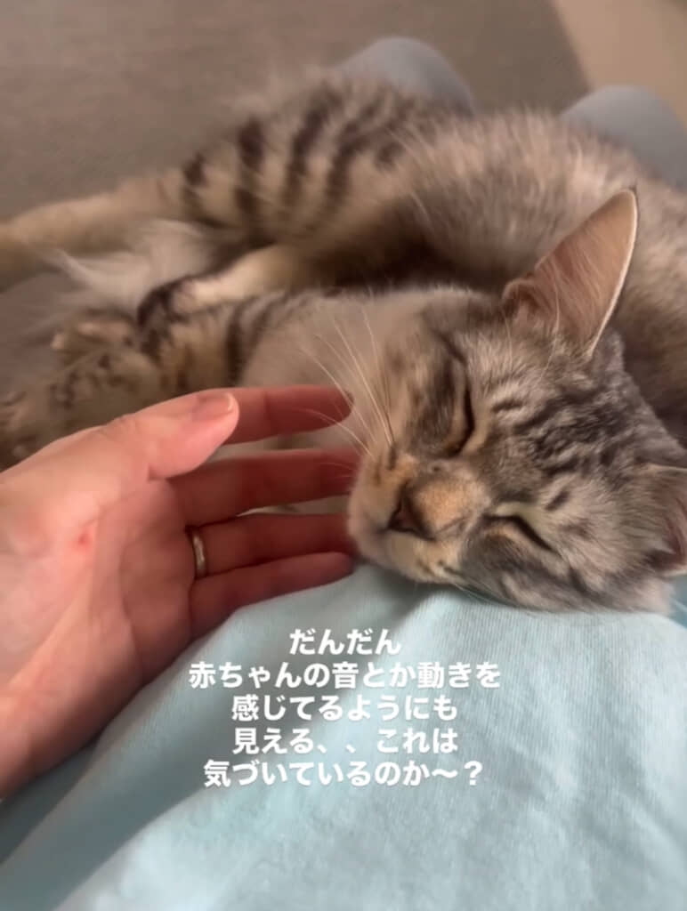 ママさんと幸せな時間を過ごします