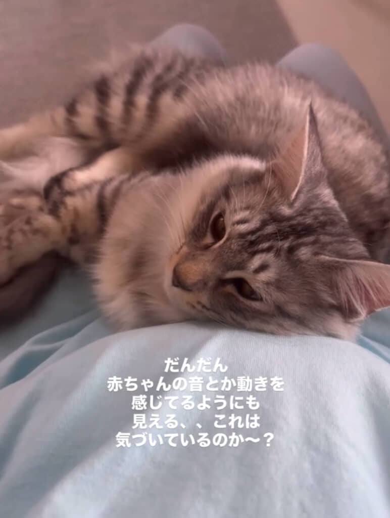 おなかに頬をあてリラックスしているむぎ太くん