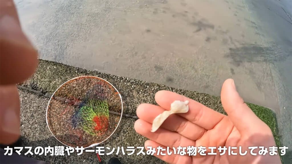 流れてきたサーモンハラスでは釣れませんでした