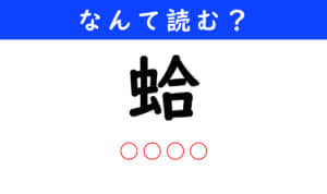 蛤