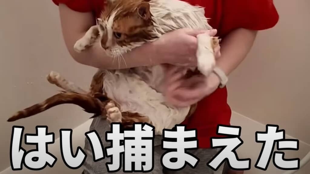 捕まりました