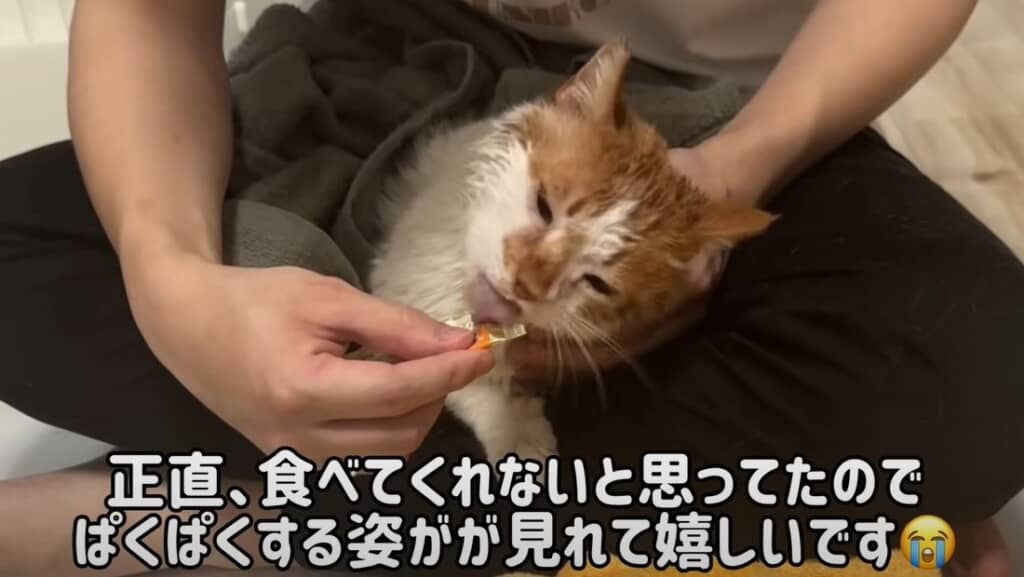 ごほうびをもらいました