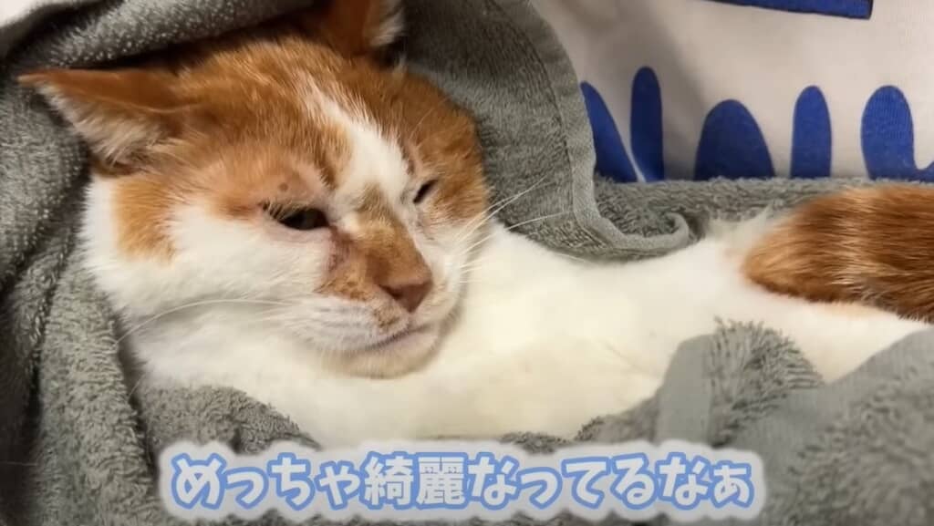 めっちゃきれいになりました