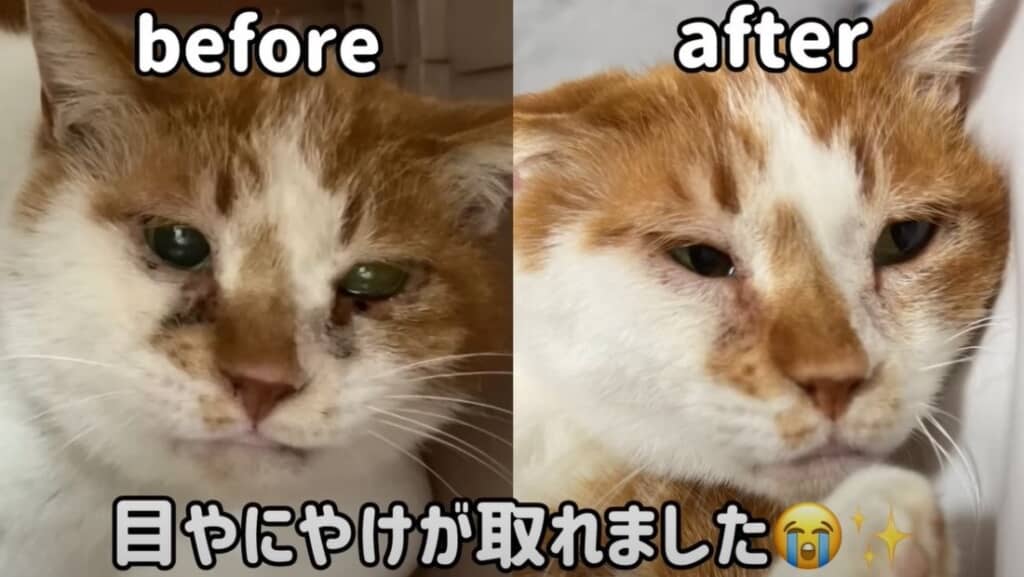 ビフォーアフター