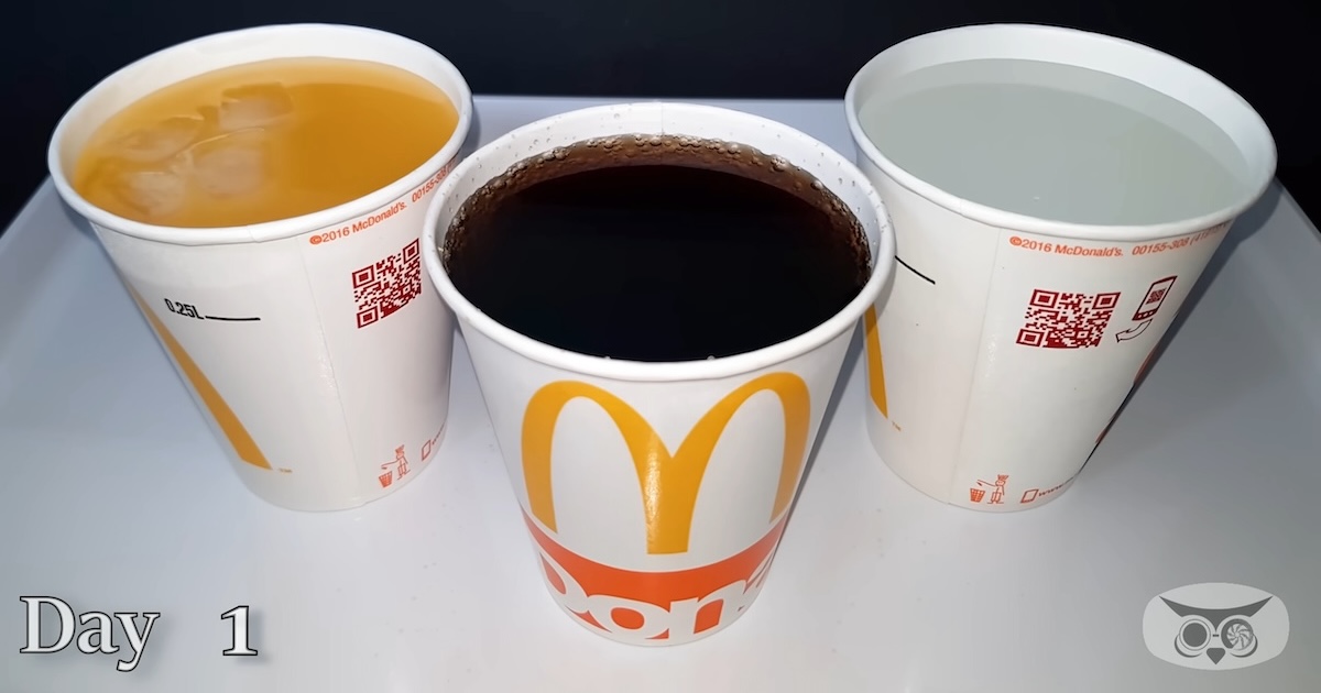 マクドナルドのカップに飲み物を入れて放置→231日後……　“衝撃の変化”に仰天　「ぞっとした」「ビックリ」【海外】（1/2） | 実験 ねとらぼ