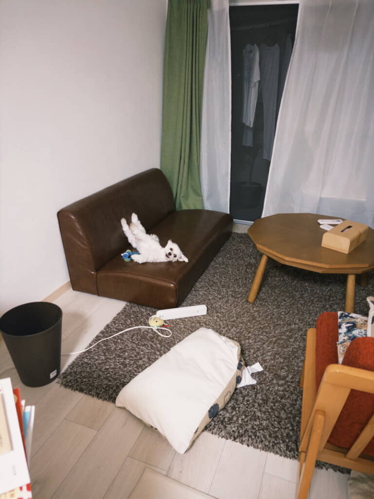 ほたてくんを見ると……