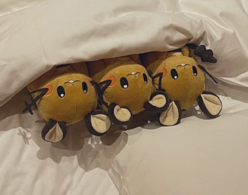 ベッドに仲良く3匹で並んでいます