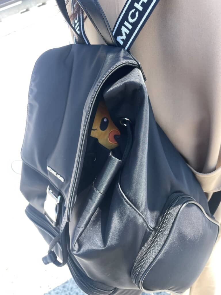 リュックの中から……