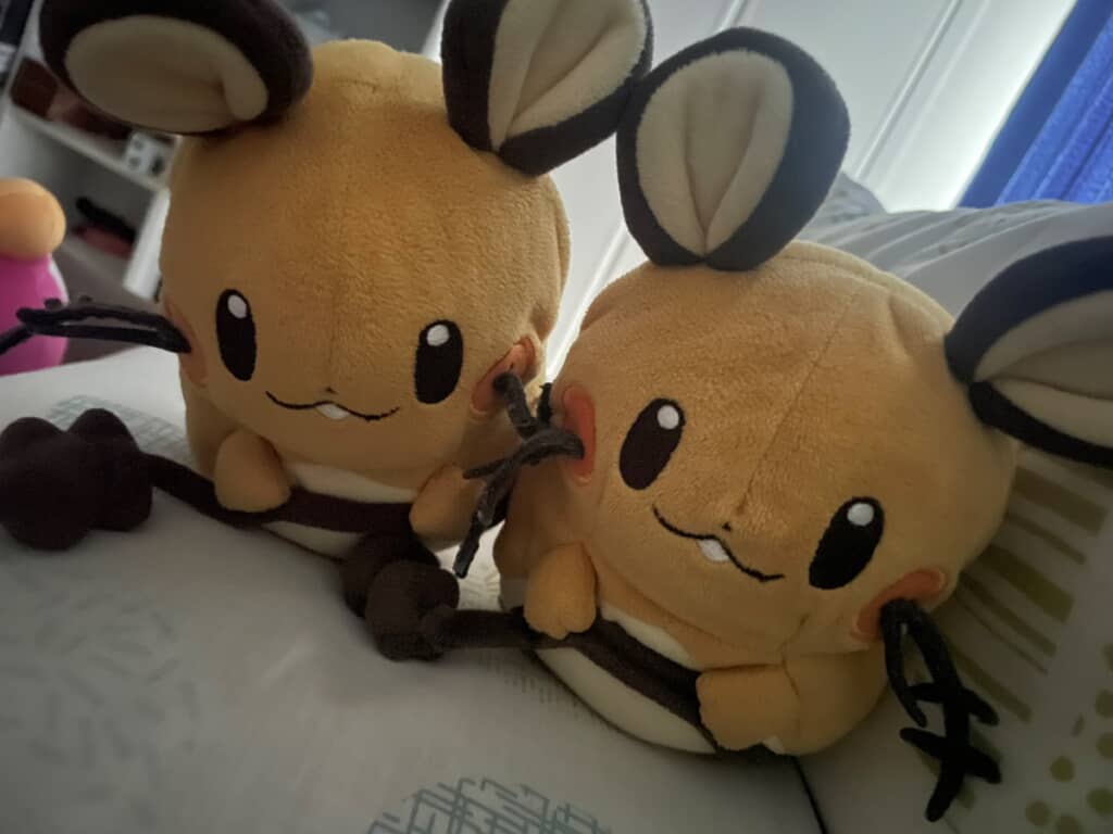 ディズニーに行ったマサンネさんの帰りを待っています