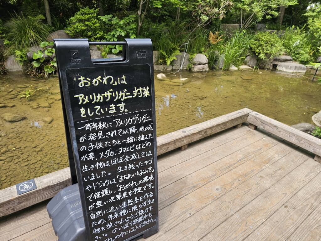 泥におおわれた“沈黙の小川”に