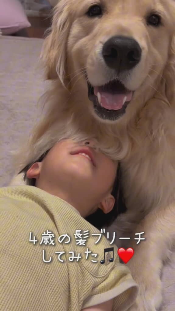 ゴールデンレトリバーと男の子