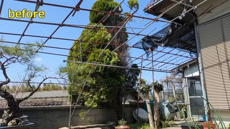 樹高が高いため景観を遮っていた作業前の巨木