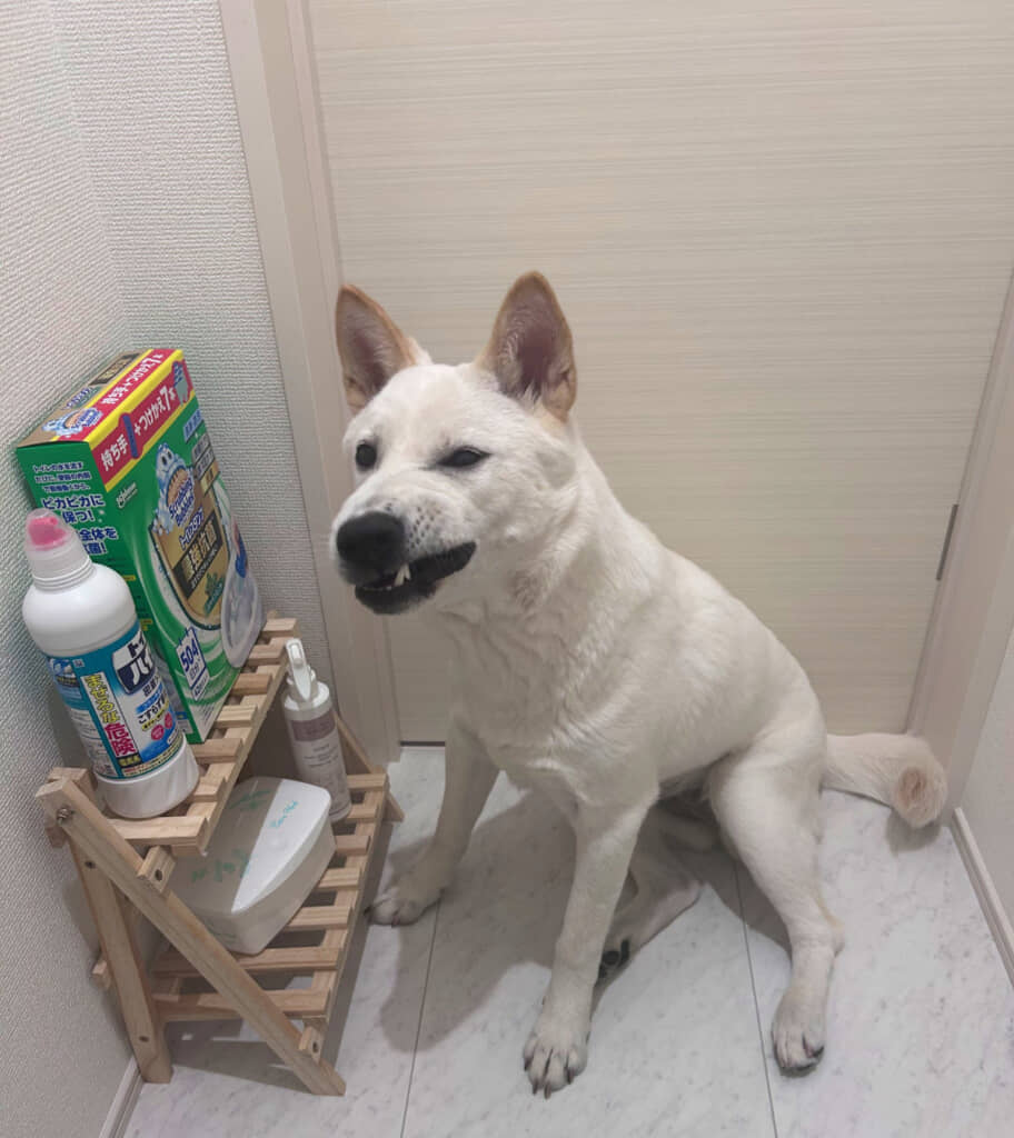 なんか、イヤそう……？