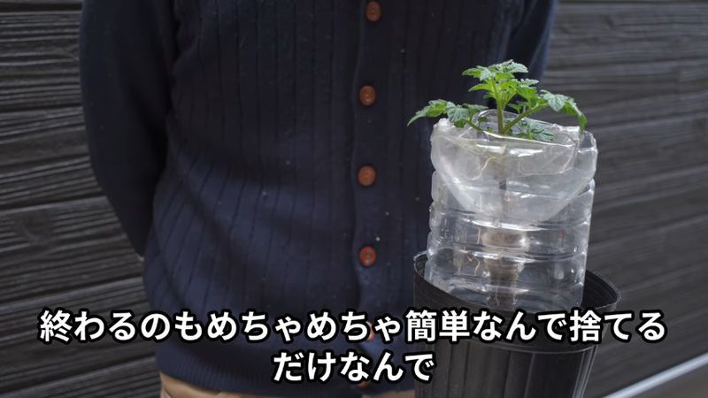 栽培後の廃棄も簡単だと伝える投稿者