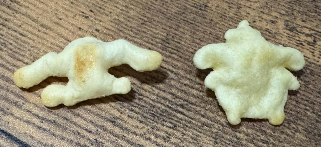 見たことない「おっとっと」
