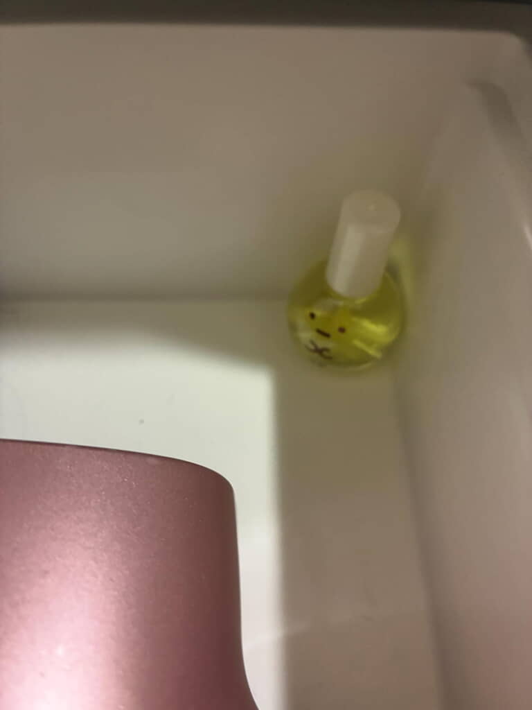 想像以上にすみっコぐらし！
