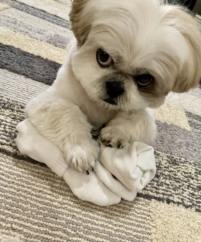 鋭い目つきが名優っぽいかも？