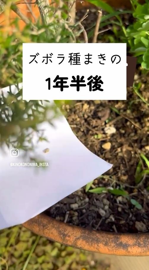 種を手に持っている様子