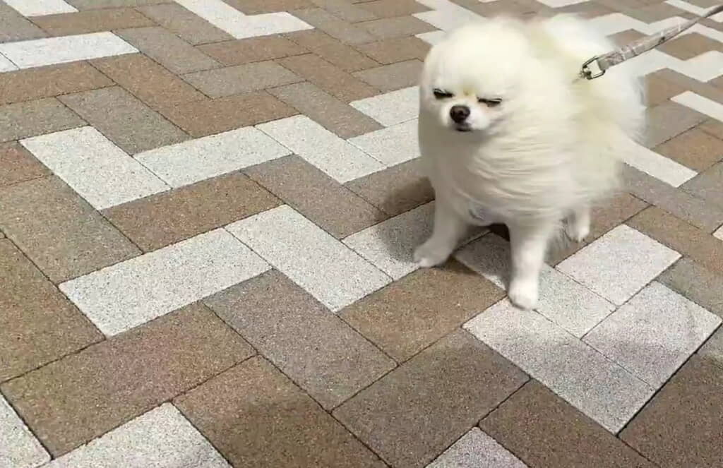風が強い！