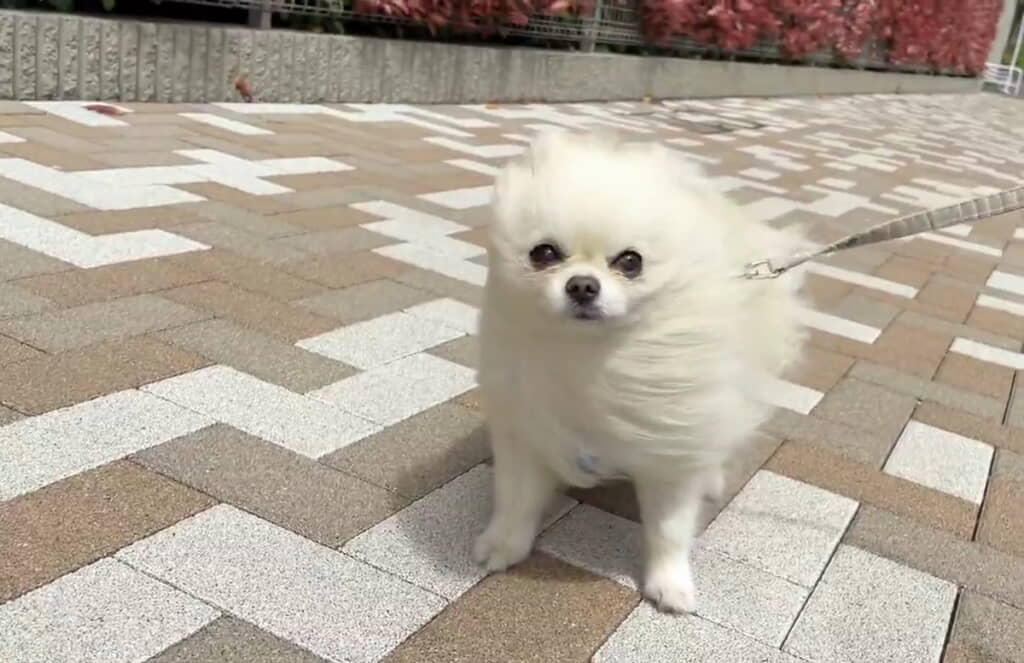 声をかけたら一瞬目を開きました