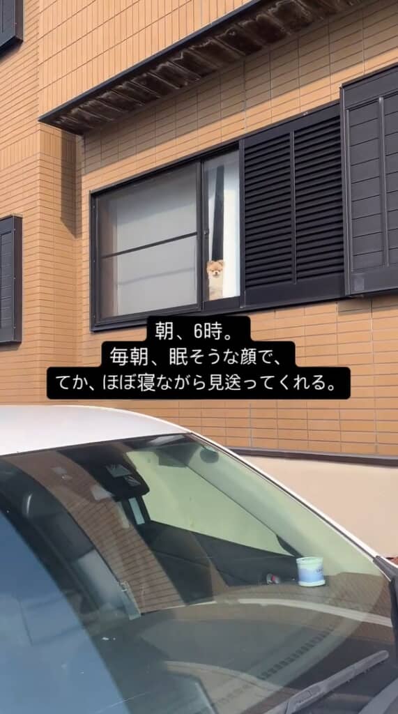 お見送りをしてくれるイクラちゃん