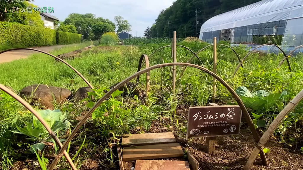 私たちの生活は多くの生き物に支えられているのですね