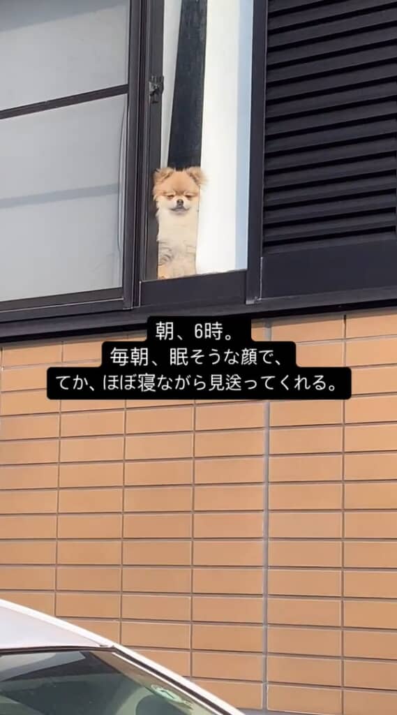 もはや眠っている……？