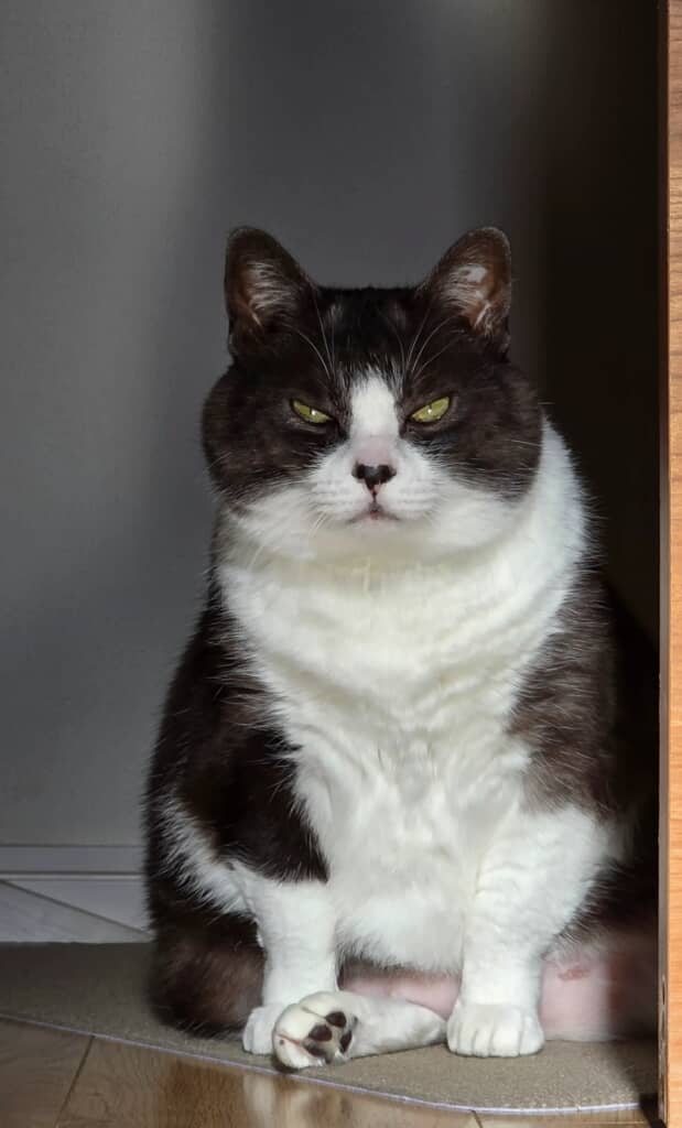 どーん！（アフター）