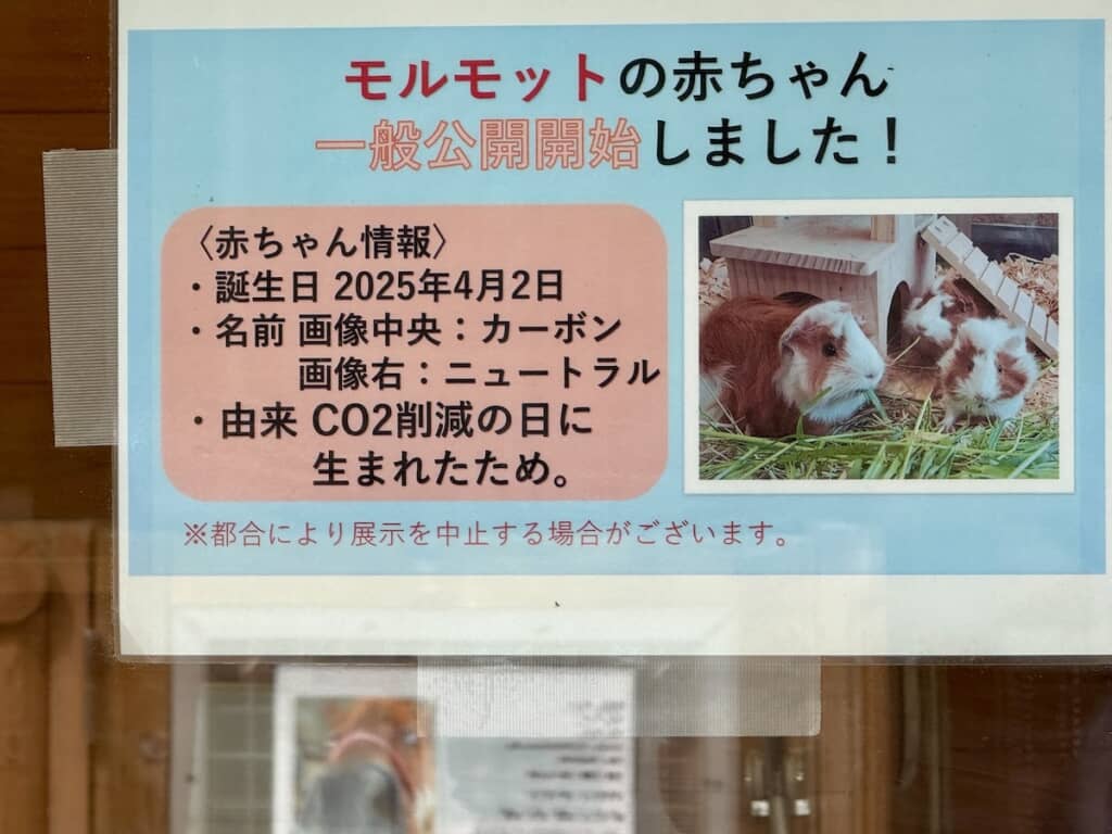 いしかわ動物園の「ふれあい体験館・あいそら」で見つけた一枚の貼り紙