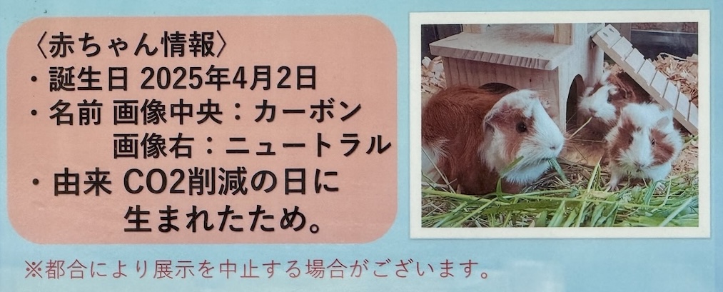 ユニークな名前とその由来