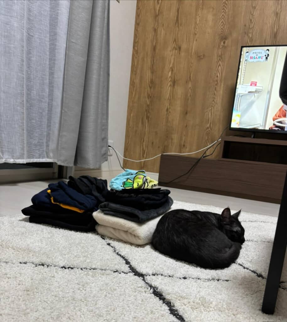 洗濯物に紛れた愛猫