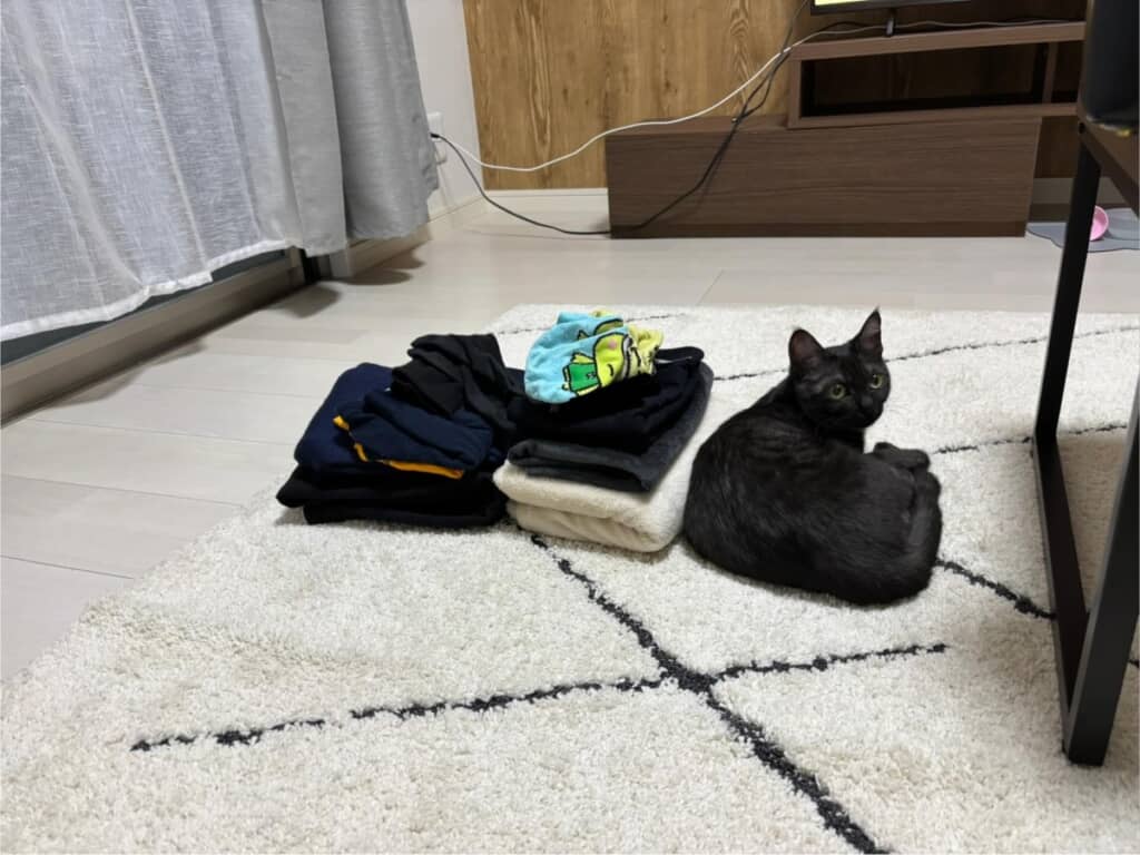 洗濯物に紛れた愛猫