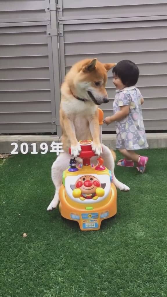 押し手はももこちゃん！