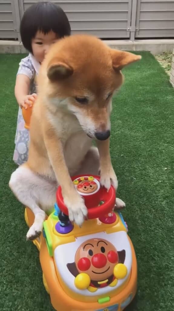 ぐんぐん押してくれます