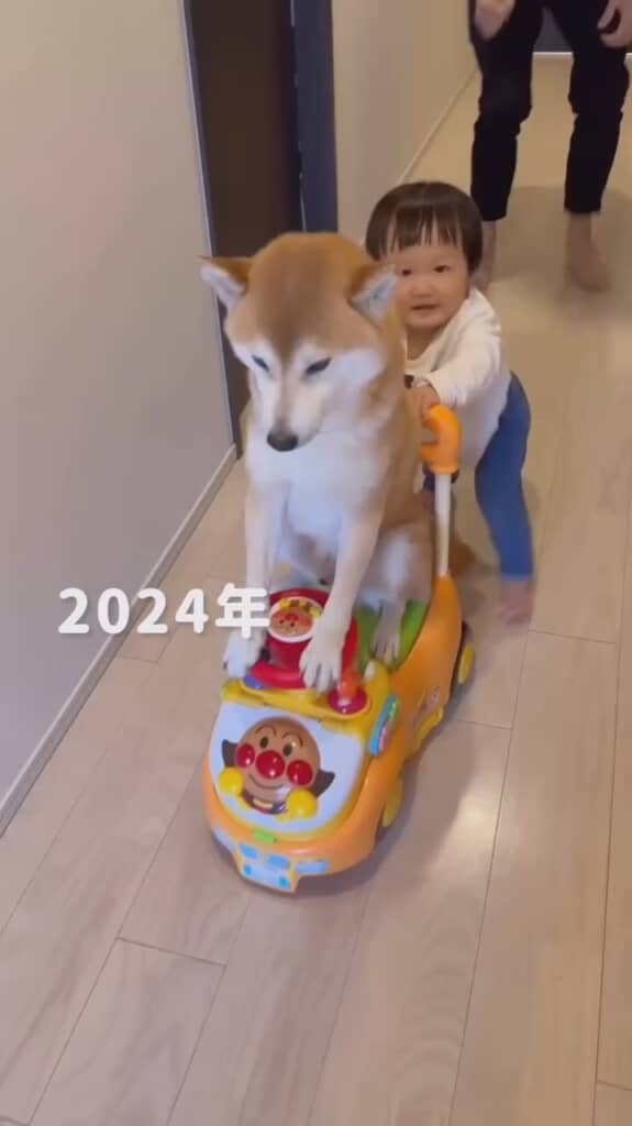 そして2024年には……
