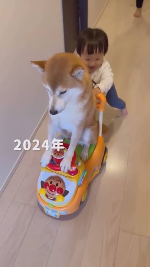 しゅんくんへと引き継がれました
