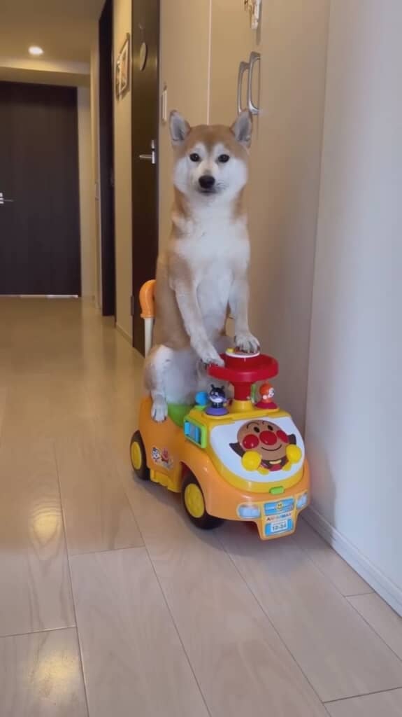 もしや押され待ち……？