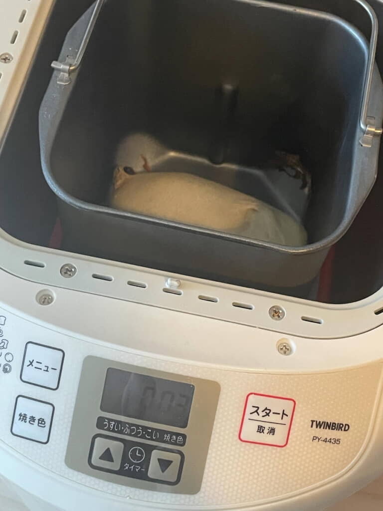 ふっくら……してない！