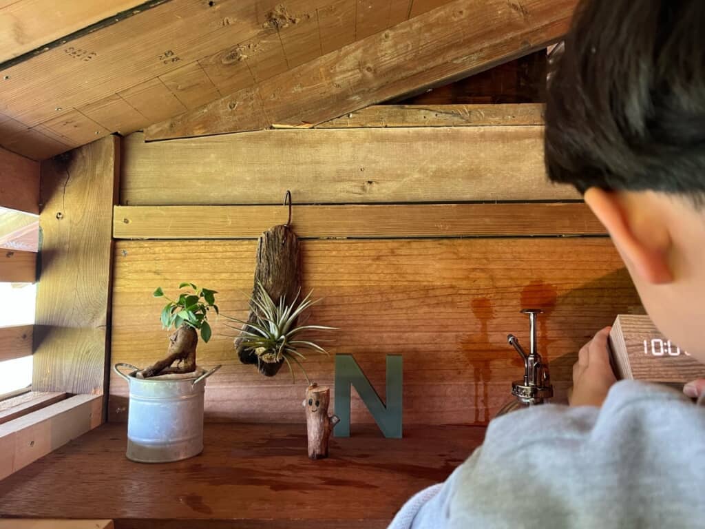 手作りのグルートも飾られています