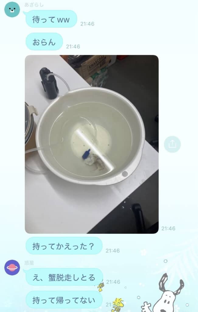 脱走したのは……カニ！