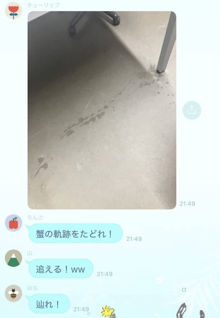 カニの軌跡をたどれ！