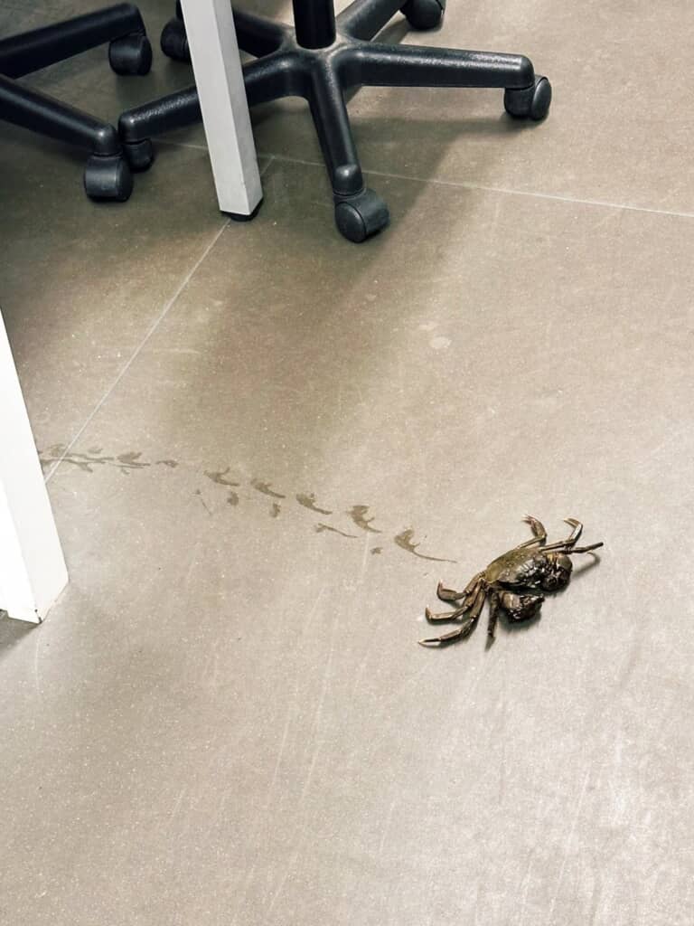 無事発見