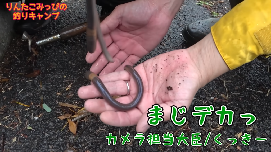 とんでもなく大きなミミズをエサに使います