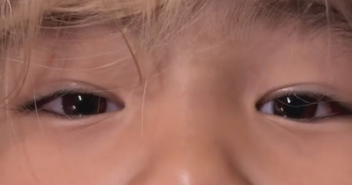 母「息子が4歳になったので金髪にした」→「え!?」　まさかの衝撃展開に「全然違和感がない」「やられました」（1/2） | ライフスタイル ねとらぼ