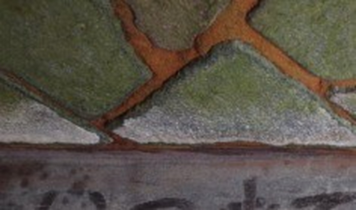 日帰り客が帰った浴場をのぞいたら……　オーナーが叫んだ“まさかの光景”が45万表示「どうなってるの！？」（1/3） | ライフスタイル ねとらぼ