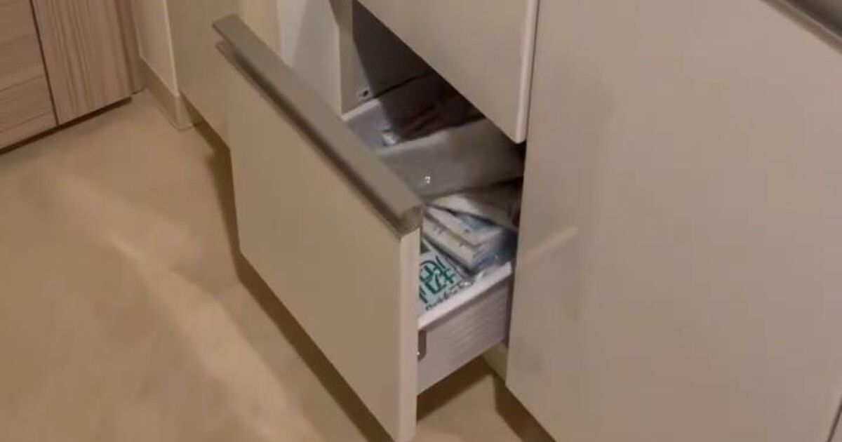 なぜか開いている引き出し→恐る恐るのぞくと…… 「なにしとんねん笑」中にいた“突然しゃべりだす生き物”に驚き | 小動物 ねとらぼ