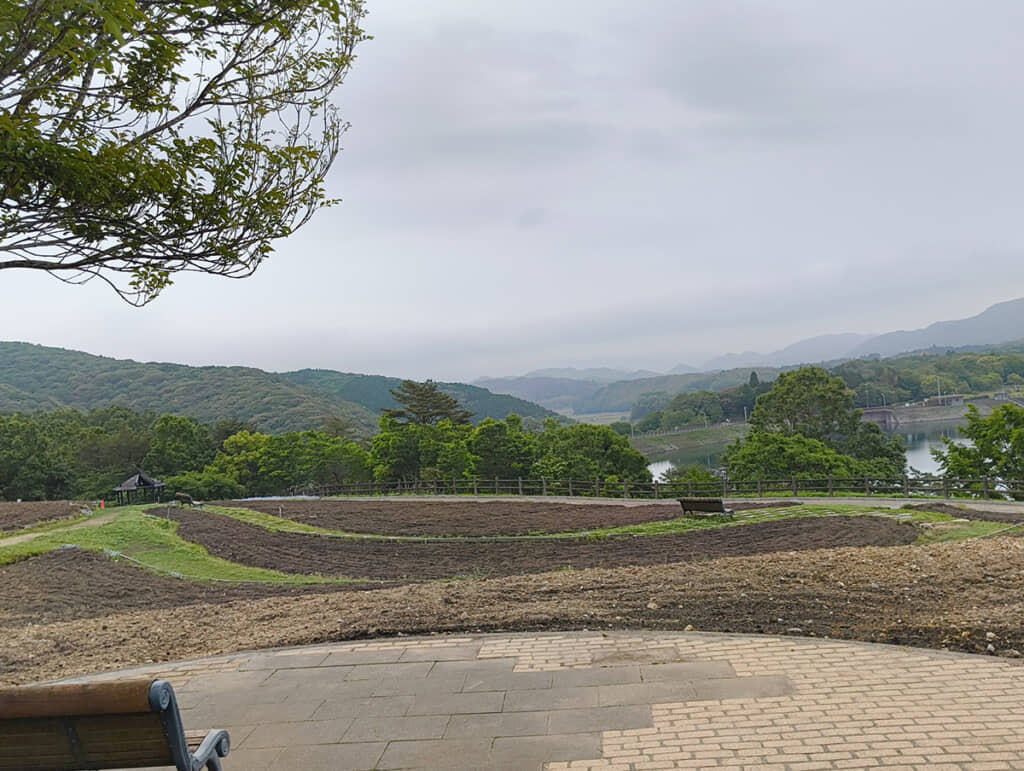 土しかない……！（画像提供：クリパさん）