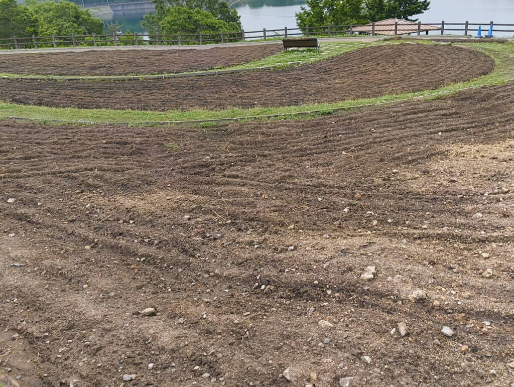 これは悲しい（画像提供：クリパさん）