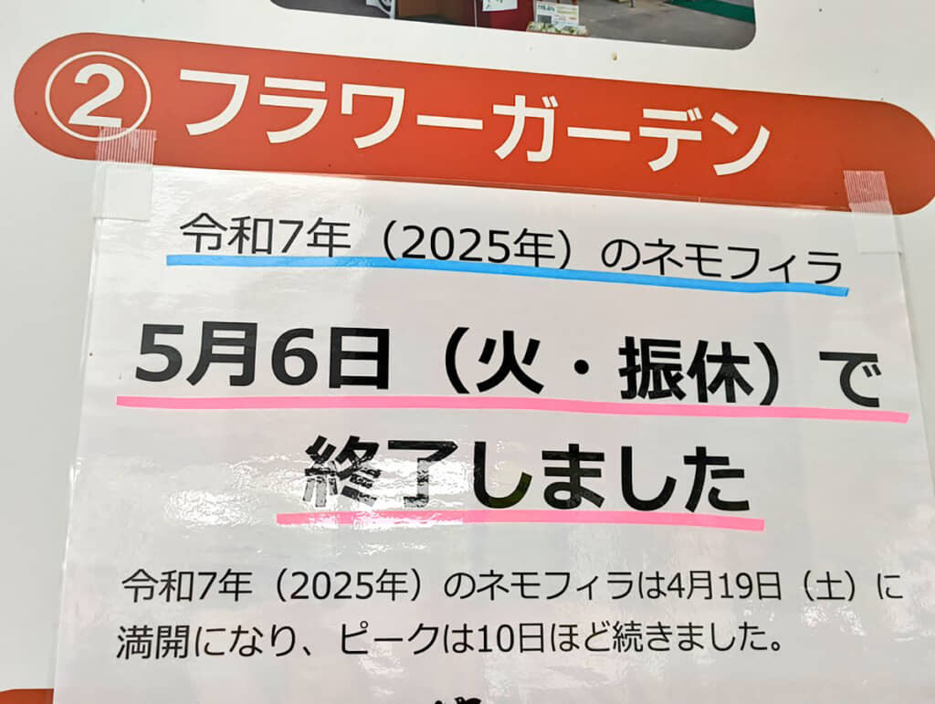 ネモフィラ畑はすでに終了していました（画像提供：クリパさん）